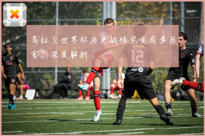 乌拉圭世界杯历史战绩究竟有多厉害？深度解析