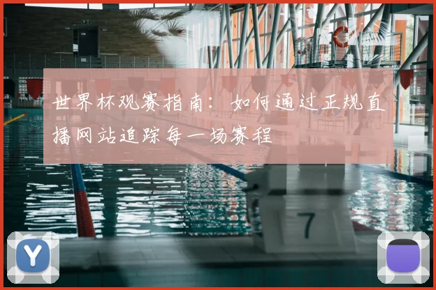 世界杯观赛指南：如何通过正规直播网站追踪每一场赛程
