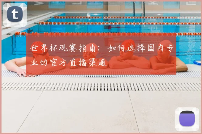 世界杯观赛指南:如何选择国内专业的官方直播渠道