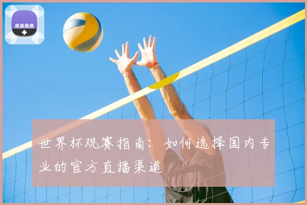 世界杯观赛指南：如何选择国内专业的官方直播渠道