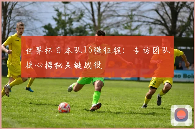 世界杯日本队16强征程:专访团队核心揭秘关键战役
