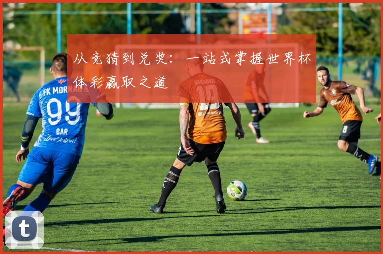 从竞猜到兑奖：一站式掌握世界杯体彩赢取之道