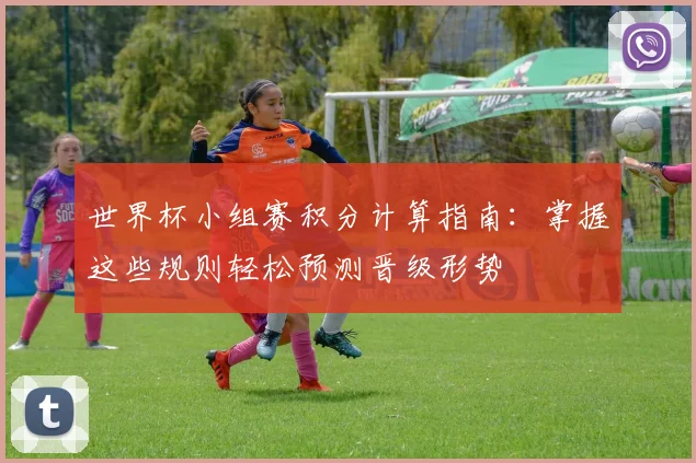 世界杯小组赛积分计算指南：掌握这些规则轻松预测晋级形势