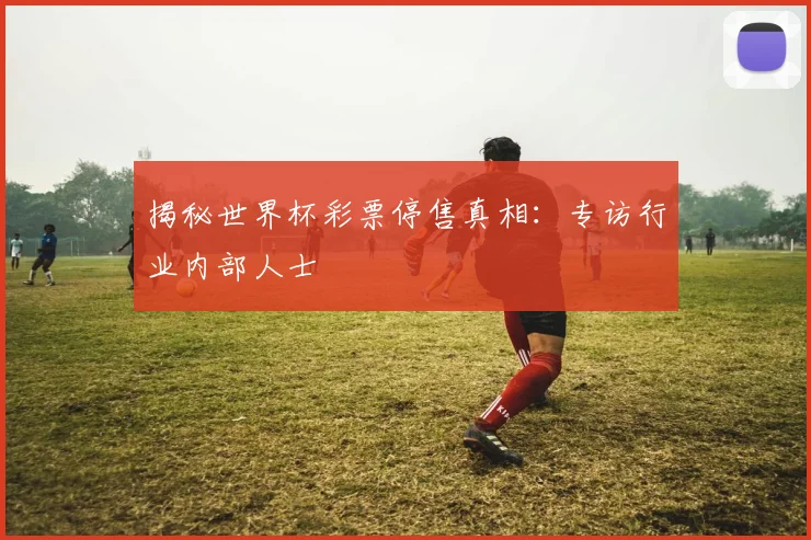 揭秘世界杯彩票停售真相：专访行业内部人士