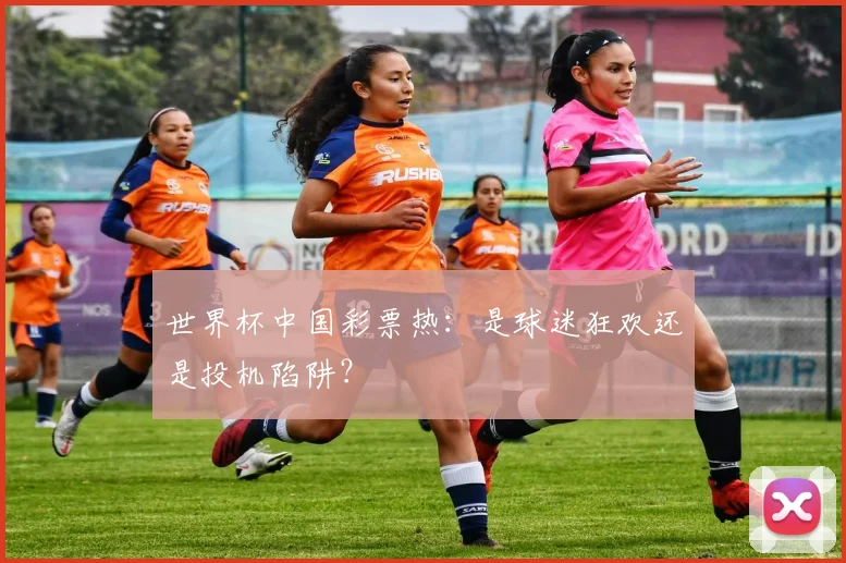 世界杯中国彩票热：是球迷狂欢还是投机陷阱？